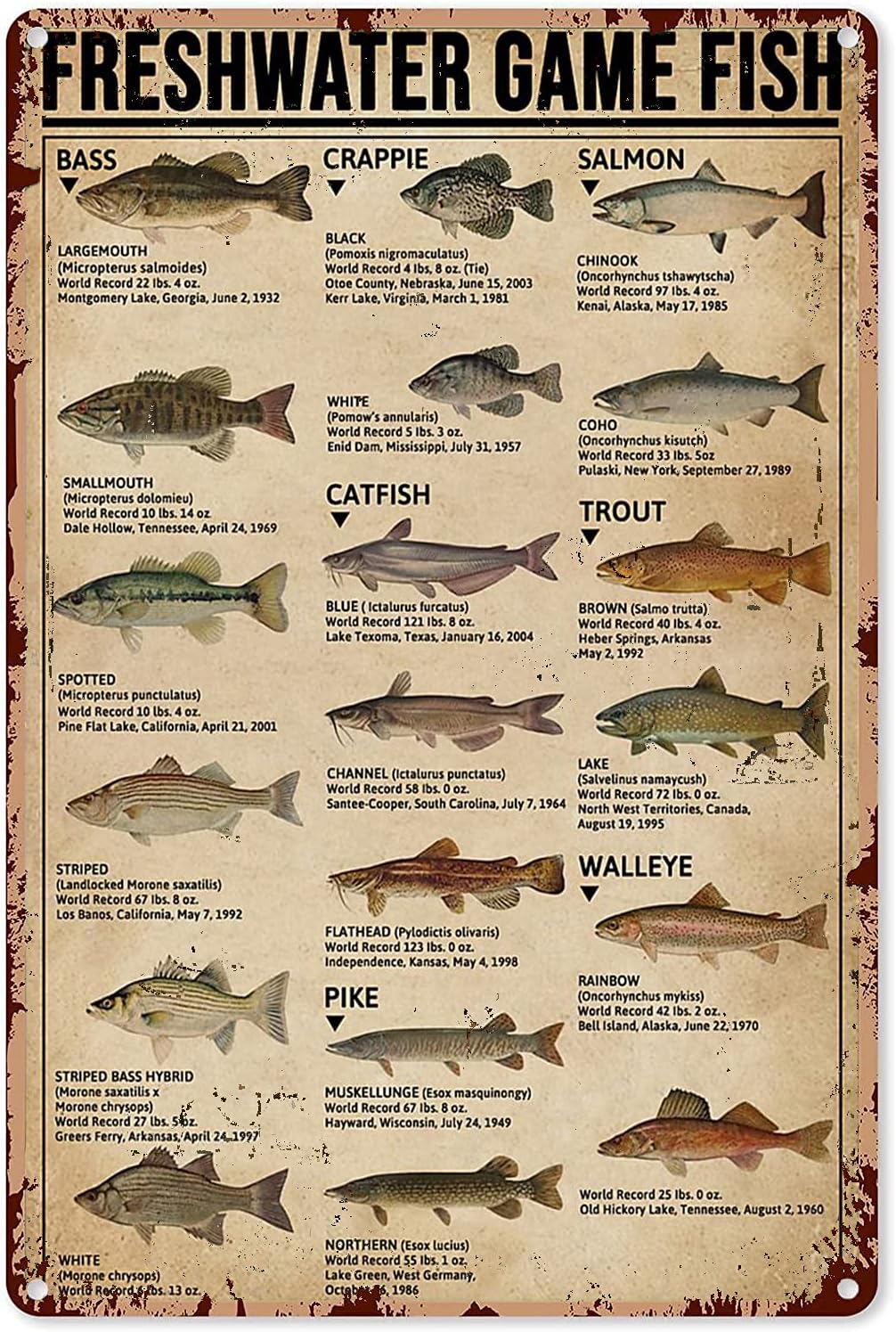 Y1,Fishing Art Posters Metal S - Retro Gaming Us ulasan dan harga